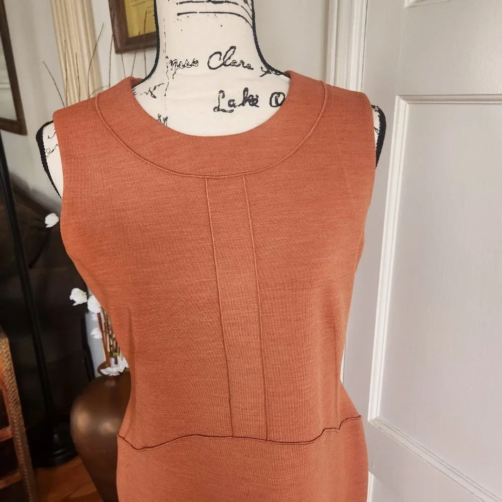 Buchanan and Kang Burnt Orange Sleeveless Sheath Dress Sz 6 NWOT - Picture 2 of 9